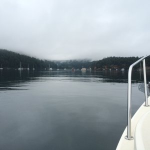 Looking for a place to anchor in Reid Harbor