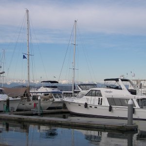 More boats.