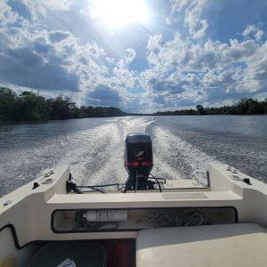 Cruising Rear View