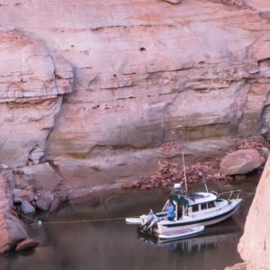 Iceberg Canyon Monday morning 9-23-13 Secret of Life was tied to a tree and a rock across from everyone else