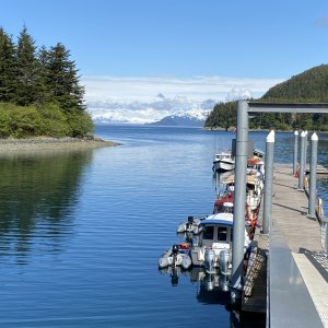 At the Elfin Cove outside dock