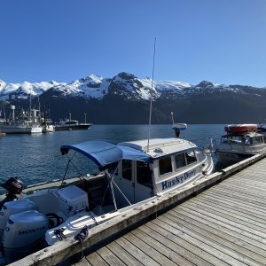 Pelican dock