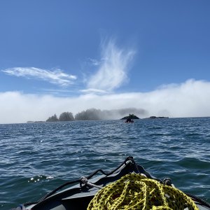 Out of Mirror Harbor on the Kaboats looking at whales