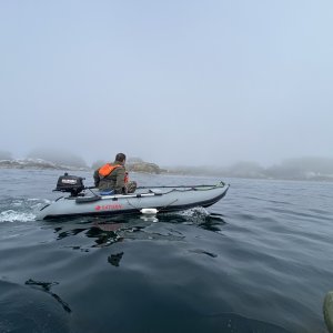 Back to Mirror Harbor