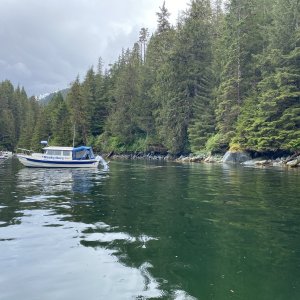 Stern tied, warm springs bay