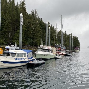 Warm springs bay dock