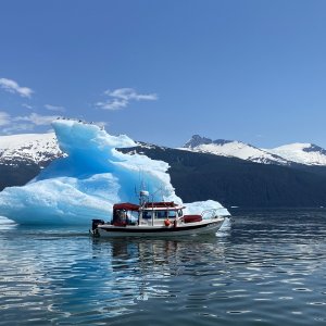 Jody by Tracy Arm Cove