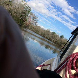 Media 'Apalachicola River' in album 'Water St Marina, Apalachicola'