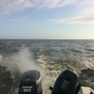 Apalachicola Bay
