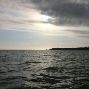 Apalachicola Bay