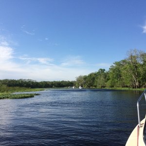 Midnight Flyer guided loop around Hontoon Island