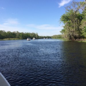 Media 'IMG 1767' in album 'Water St Marina, Apalachicola'