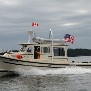 Media 'Kingfisher II  - Looking Good' in album 'C-Dorys in Hale Passage'