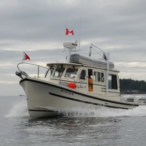 Media 'Kingfisher II - Sidney to Montague harbor' in album 'C-Dorys in Hale Passage'