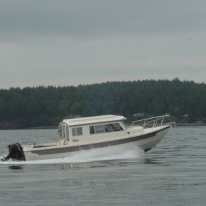 Knotty-C
