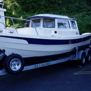 First visitation....first sight!  She came in late last night, so she's fresh from the factory.  WOW!