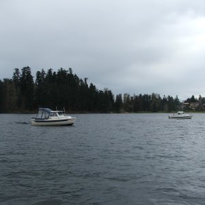 Lizzie & Sarks 16 in Andrews Bay