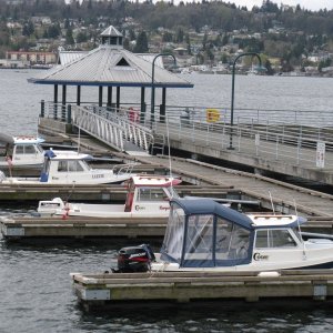 Looking out From Coulon