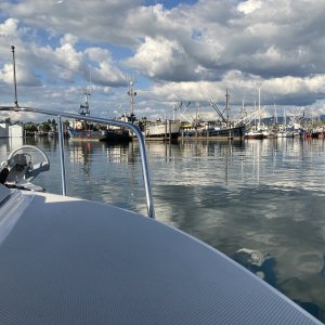 Media 'After such a nice gathering last summer thought I?d try for the same spot. No such luck, the visitor dock already full.' in album 'Beautiful 22 Angler at the dock'