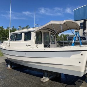 Media 'Cleanup Monday afternoon' in album 'Beautiful 22 Angler at the dock'