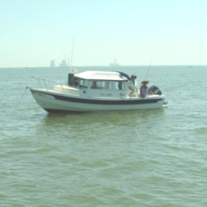 Hunting for black tips and cobia