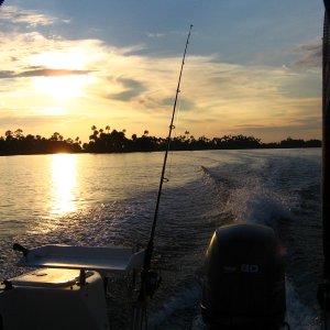 Media 'pretty shot heading to sleeping cove' in album '(james) COOL CHANGE'