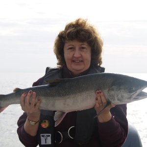 Media 'Lori's first salmon!' in album 'Son Todd & his girlfriend Stephanie on our way out of Skyline,'