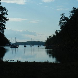 Princess Cove, Wallace Isl.