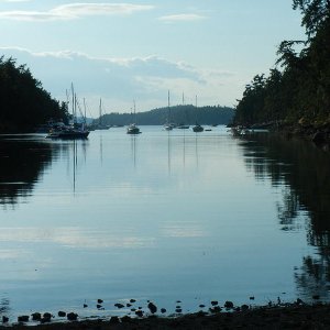 Princess Cove
