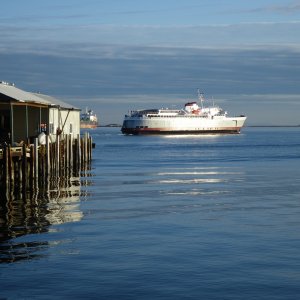 January 2010 292