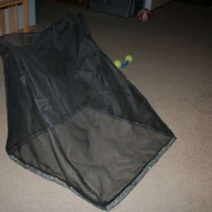 Media '2009 999 4 1' in album 'carpet berth 010'
