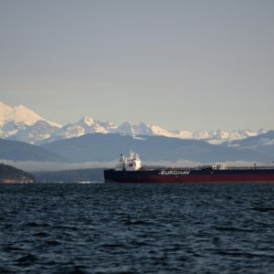 Marine traffic in Rosario Strait