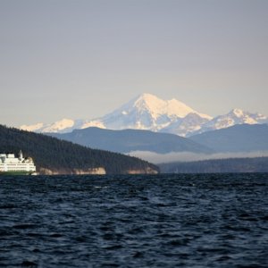 Ferry and Mount Baker