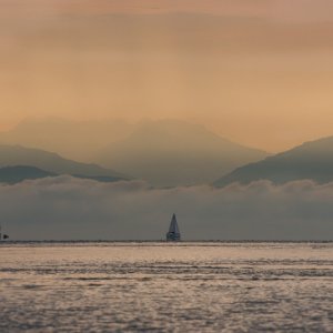 Still some fog out in Middle Channel. Another photo from Diana https://www.facebook.com/catinthemoonphoto/