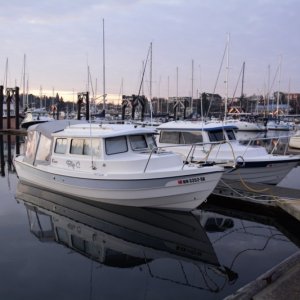 Sunday morning on H-dock