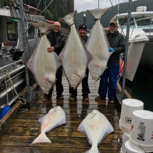 In_laws with some nice fish