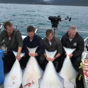 they'll be eating halibut this winter