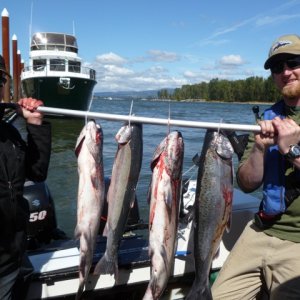 less boat more fish pic