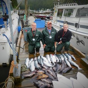 a few fish