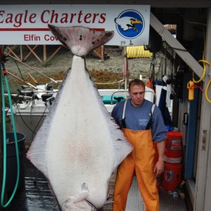 that's what a 98" 400# fish looks like