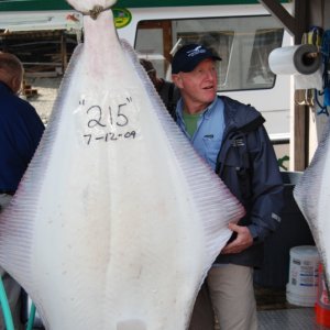 hooked this Aussie up with a few Halibut dinners