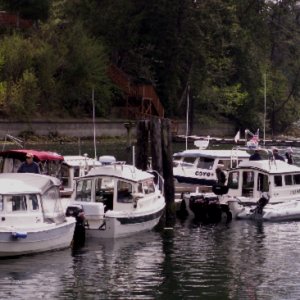 C-Dorys on the Dock at Jarrell Cove