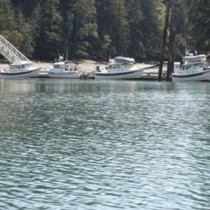 Looking back at the 
Jarrell Cove dock