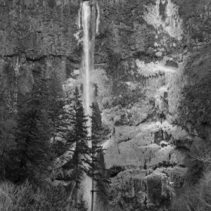 Multnomah Falls BW