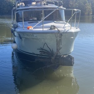 Mystery Girl with anchor catch