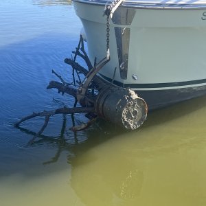 Mystery Girl anchor catch