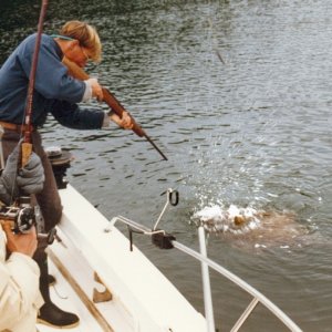 Media 'How to get a big halibut into a little boat.' in album 'How to get a big halibut into a little boat.'