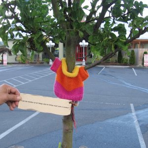 Someone knitted a sweater aroung the tree trunk.