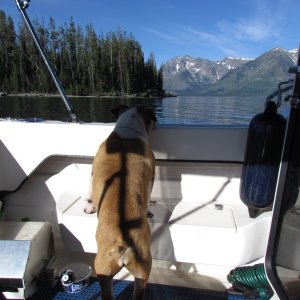 Lucy saying damn dad this place is so damn  beautiful