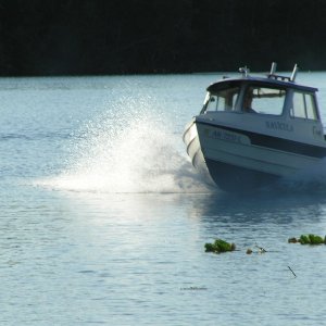 Media '(AK Angler)' in album '(AK Angler)'